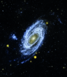 M81, c’est l’une des galaxies les plus faciles à observer de l’hémisphère nord.